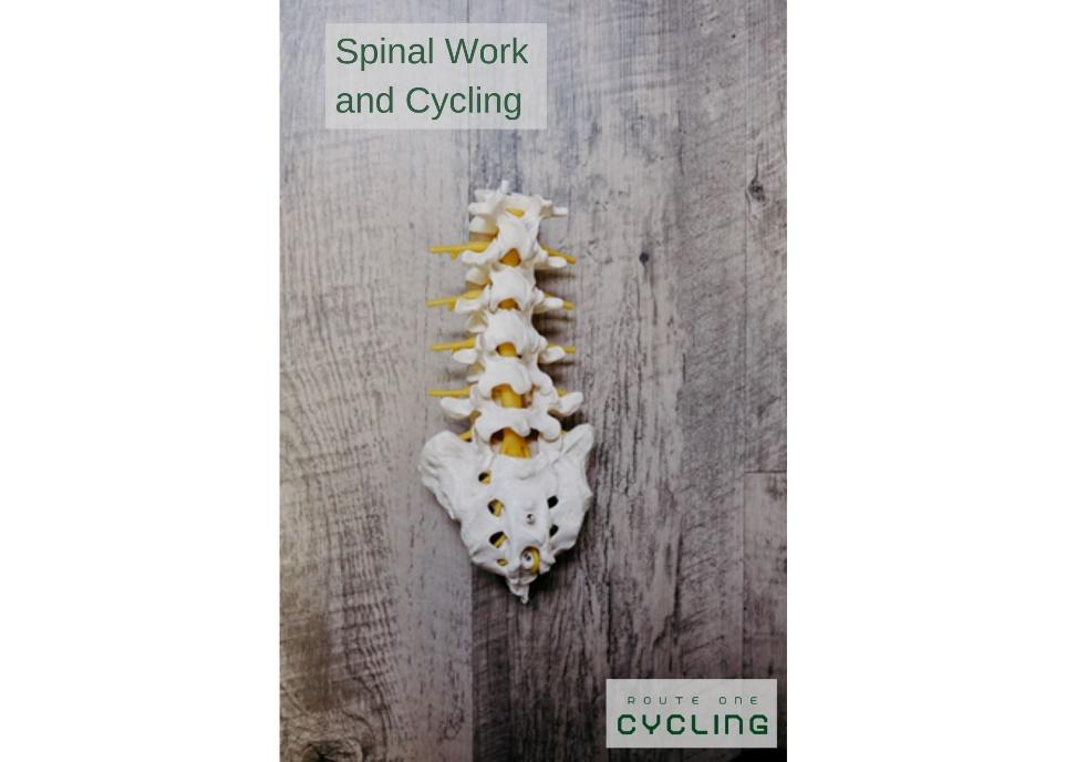 Is Cycling Good For Spinal Stenosis spine image