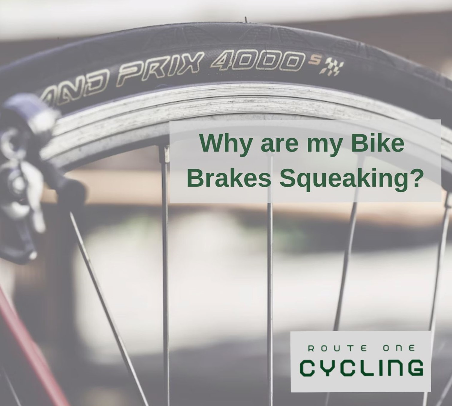 why are my brakes squeaking bike